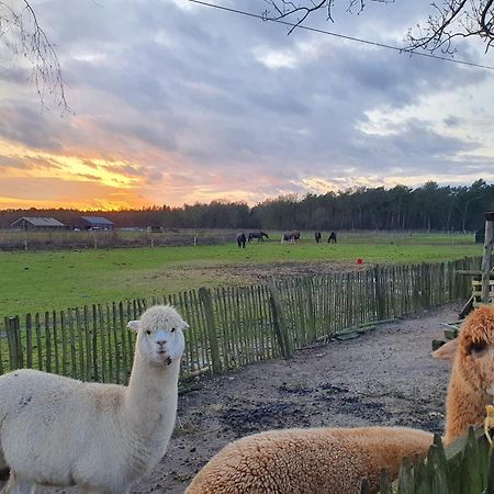 Vila Luxe Finse Kota Met Jacuzzi En Saunabarrel De Zandhoef Eersel Exteriér fotografie